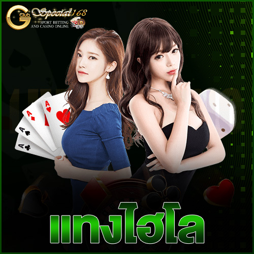 แทงไฮโล